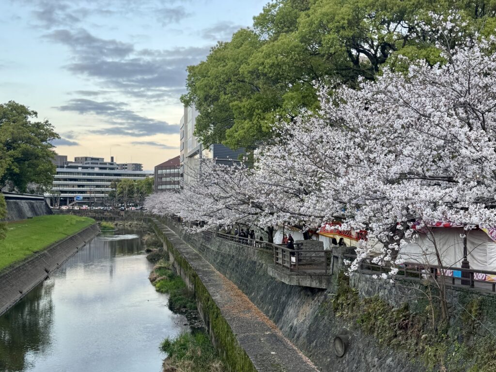 a river with trees and buildings in the background