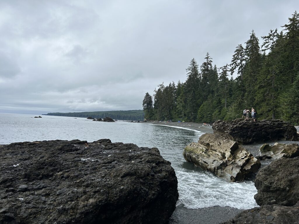 a rocky beach with trees and water