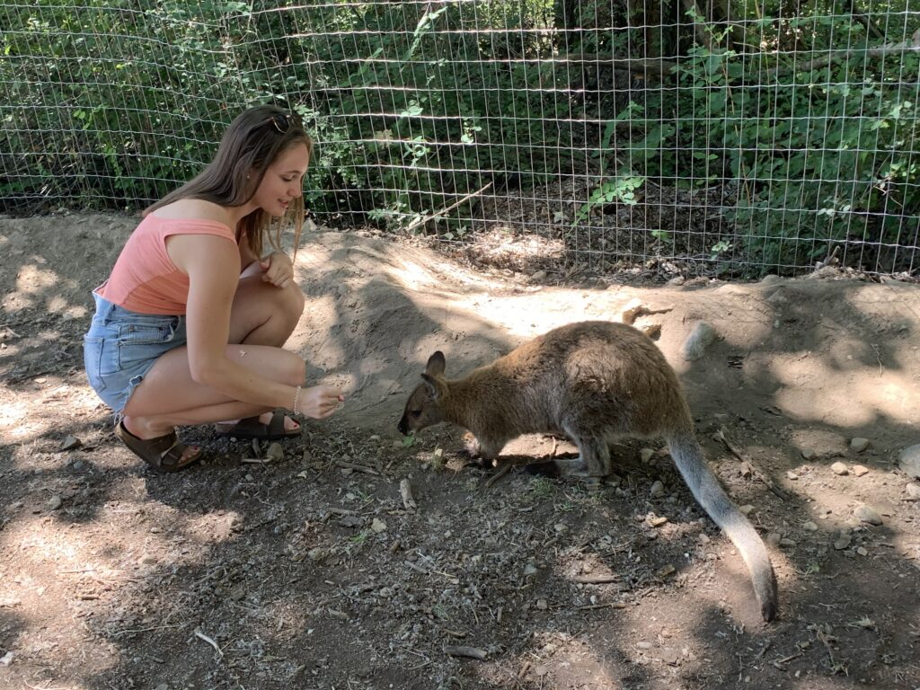 a woman feeding a kangaroo