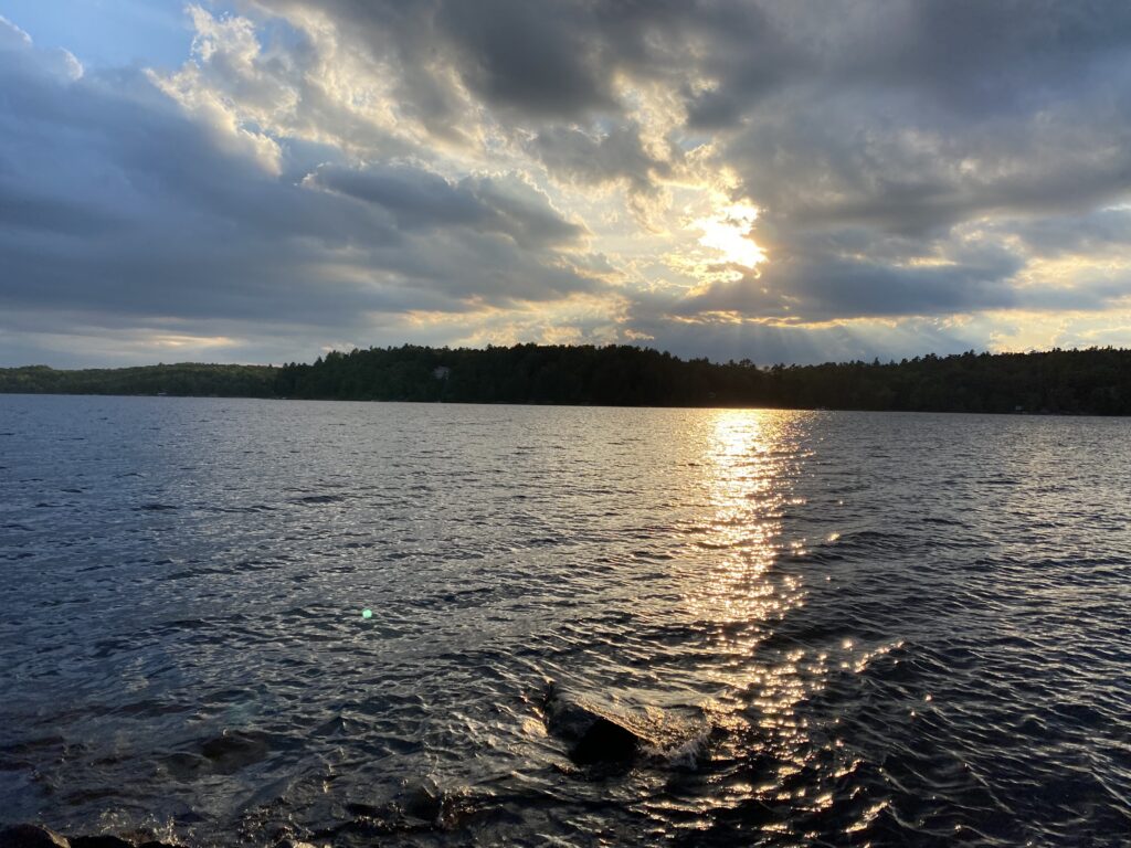 a body of water with trees in the background