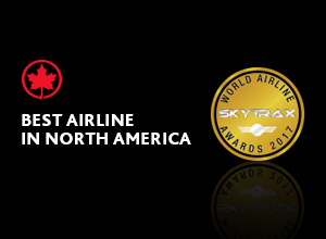 a close-up of a logo