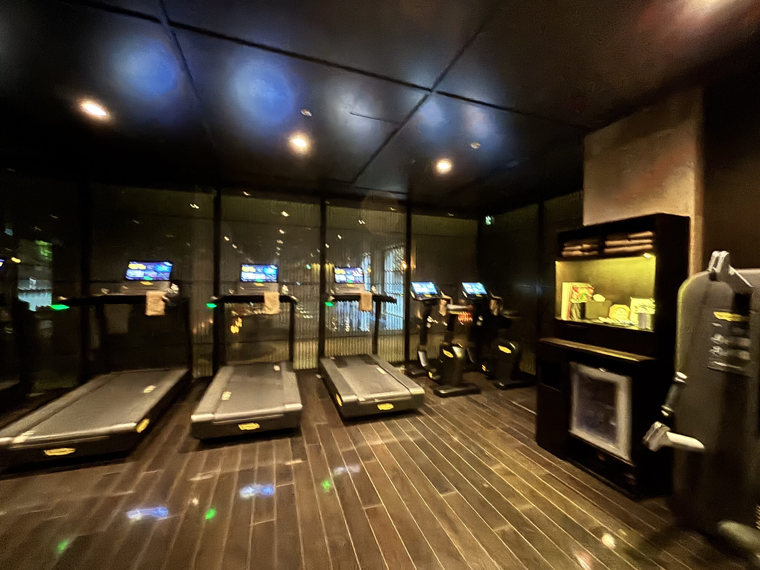 Fitness Centre - Treadmills
