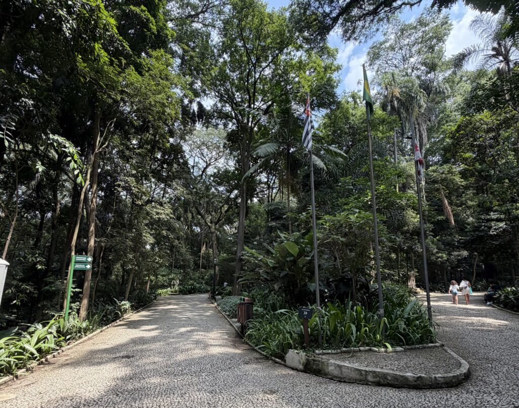 a path with flags on poles and trees