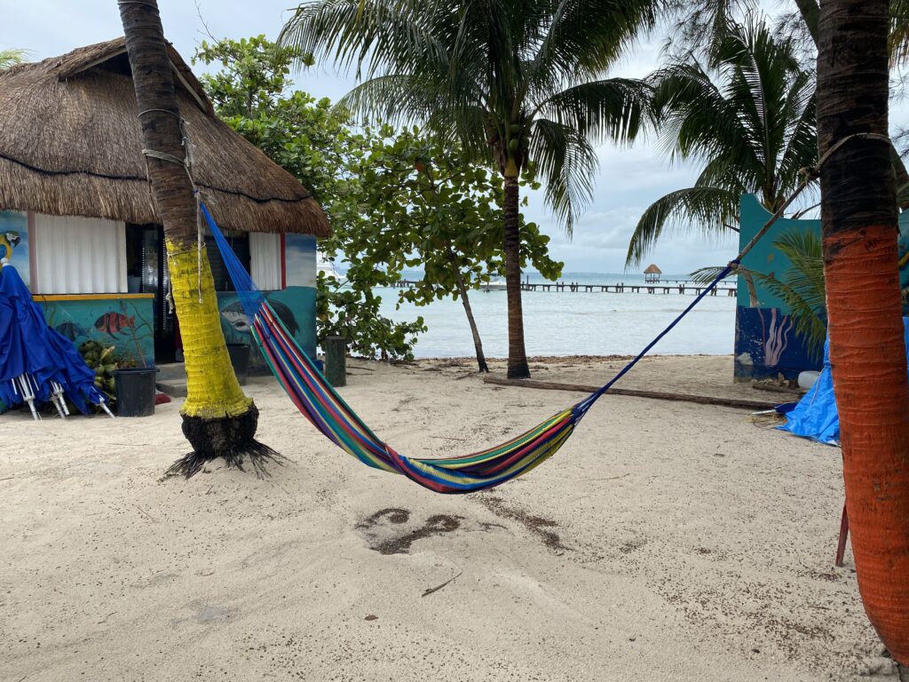 a hammock between palm trees on a beach