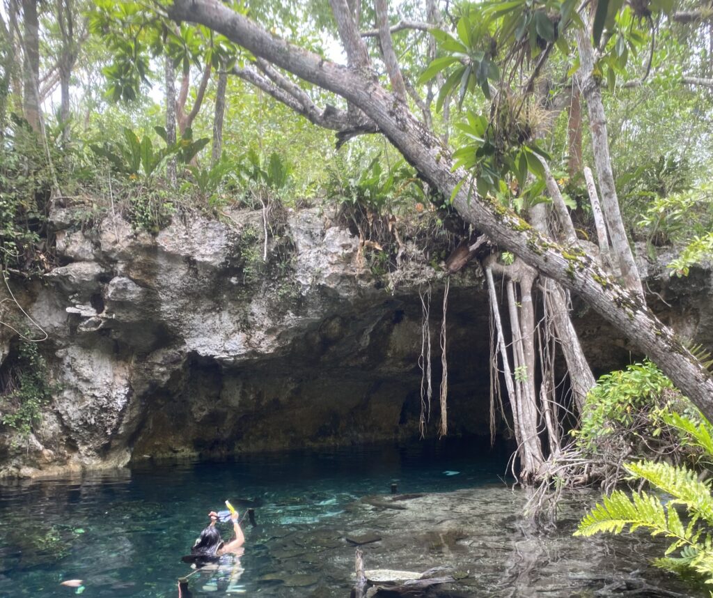 a person swimming in a river