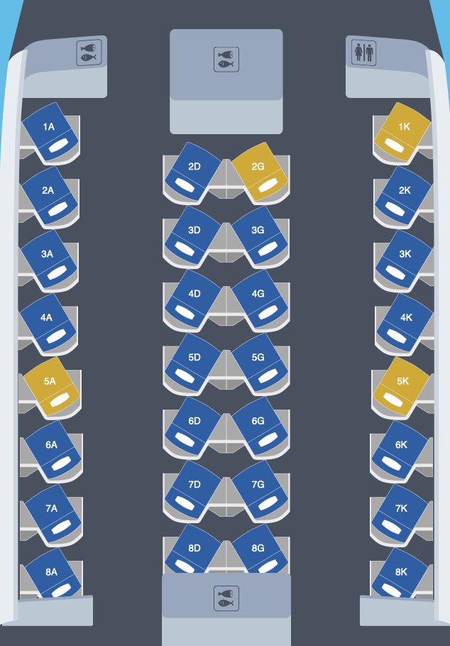 Air France B787-9 Business Cabin