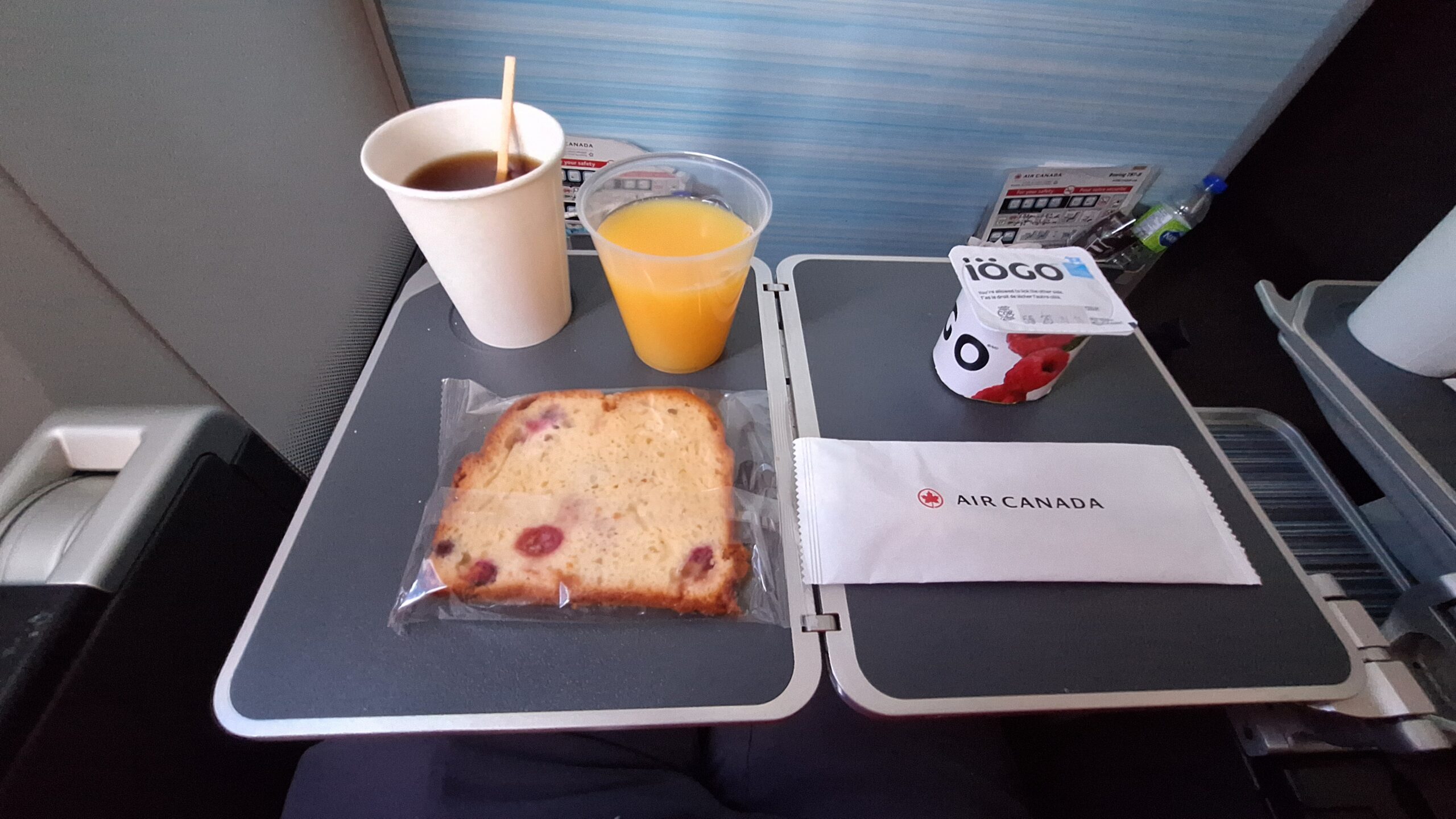 Air Canada Premium Economy review